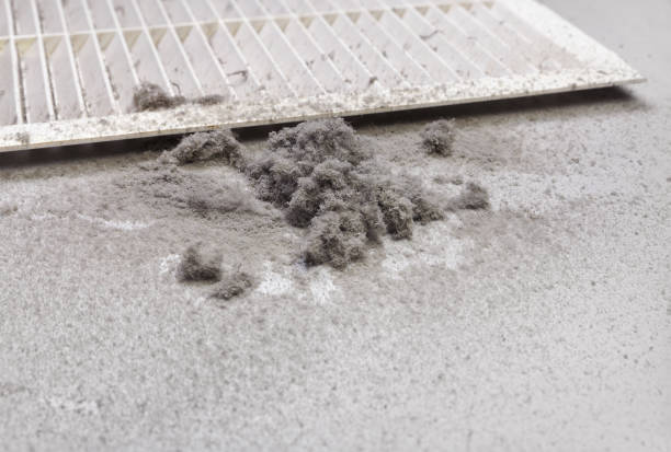 Best Affordable Air Duct Cleaning  in Columbia, MS